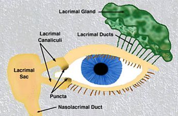 lasik procedure corrective eye surgery performed by Dr. Astorino at Newport Beach, CA Eye Center